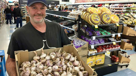 The Fresh Garlic Harvest is Ready!