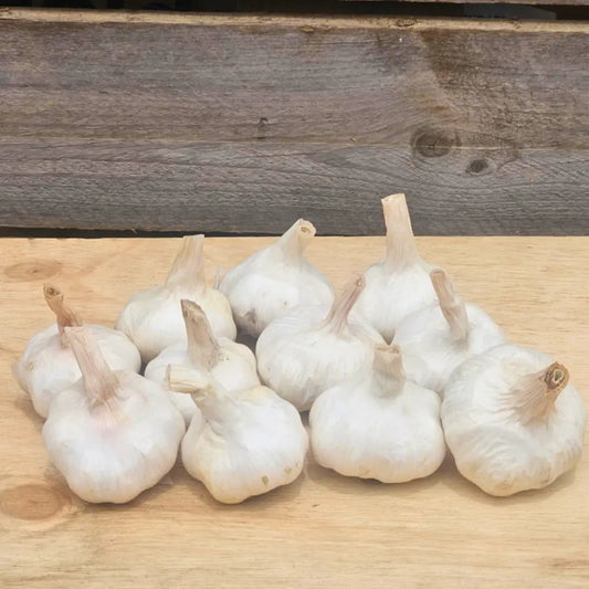 Fresh Australian Garlic (10 Bulbs)