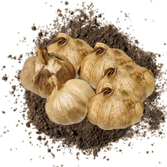 Australian Black Garlic - 6 Bulbs