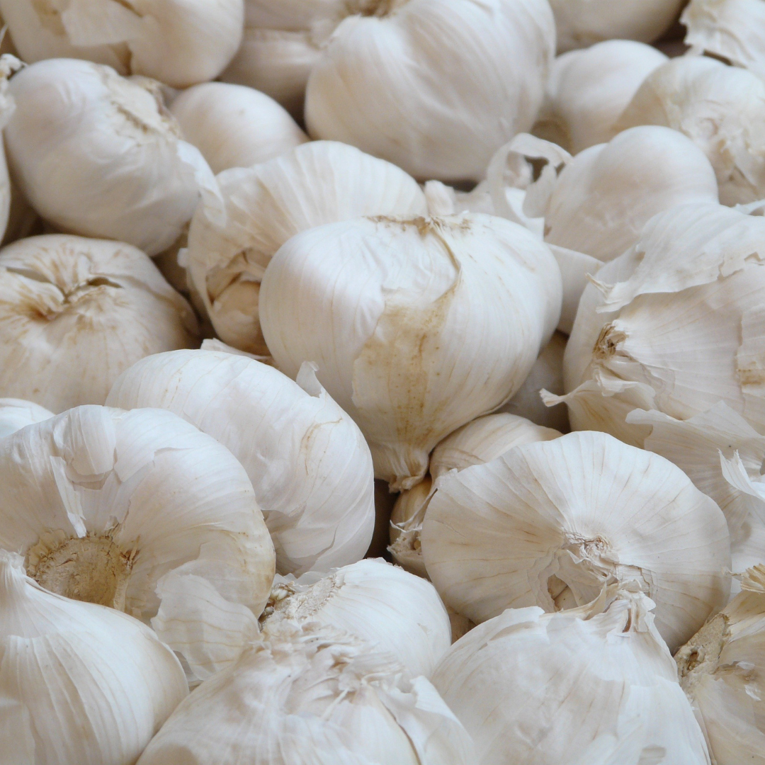 Shane's Guide to Garlic Storage: Keeping Your Fresh Cloves Fresh and Flavourful
