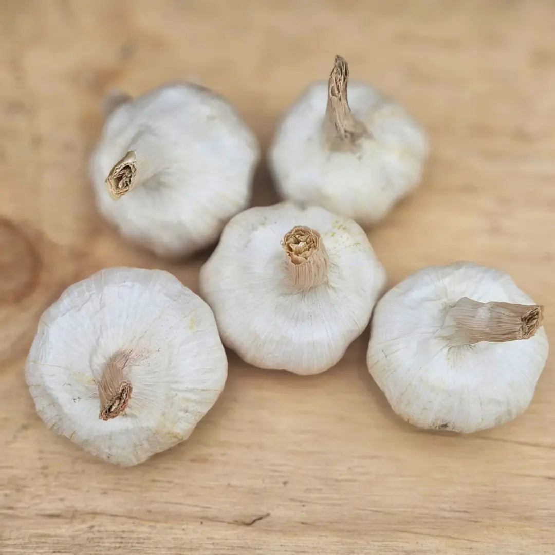 Fresh Australian Garlic (6 Bulbs)