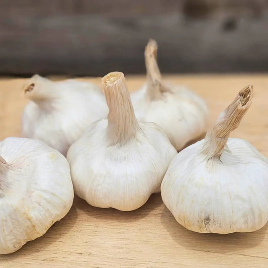 Fresh Australian Garlic (6 Bulbs)