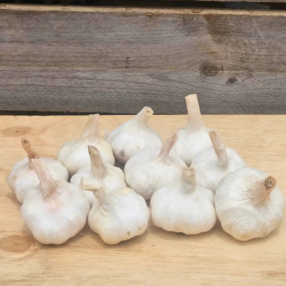 Fresh Australian Garlic (12 Bulbs)