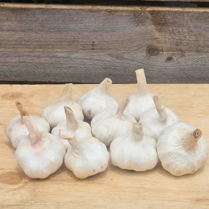 Fresh Australian Garlic (16 Bulbs)
