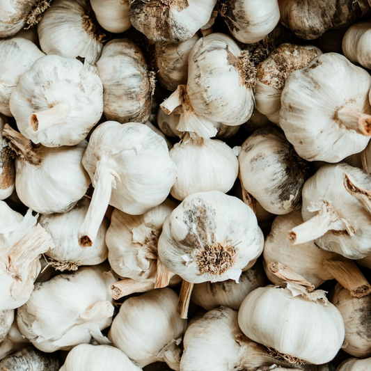 Australian Seed Garlic
