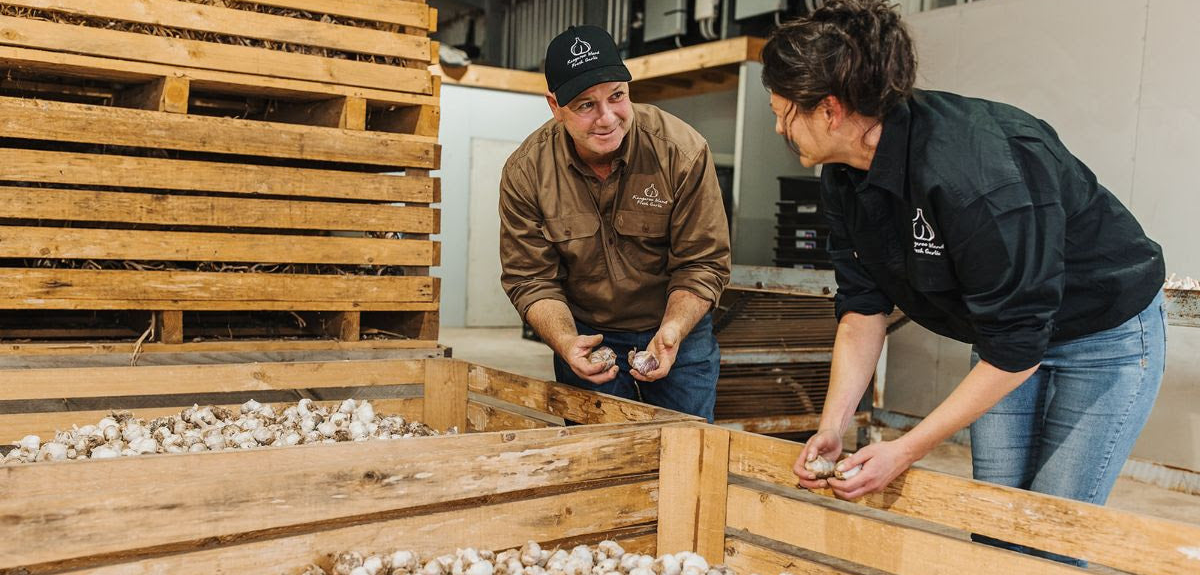 Two people working with wooden pallets and garlic bulbs in an indoor setting.